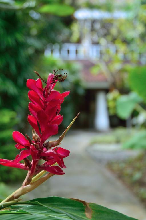Desa Nyima Hotel Seminyak  Luaran gambar
